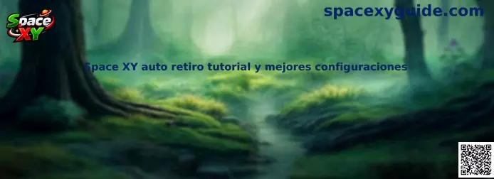 Space XY auto retiro tutorial y mejores configuraciones para asegurar cobros automáticos