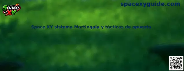 Guía educativa sobre Space XY, sistema Martingala y tácticas de apuesta