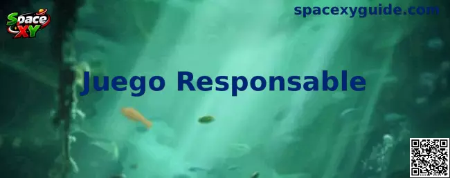 Información de Space XY sobre Juego Responsable