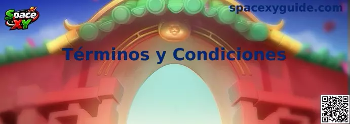 Términos y Condiciones de Space XY